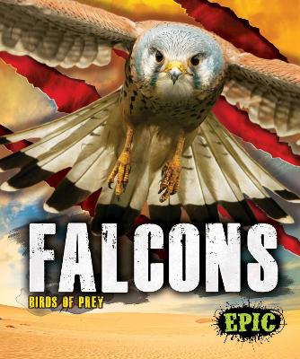 Book cover for Falcons