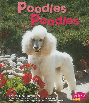Book cover for Poodles/Poodles