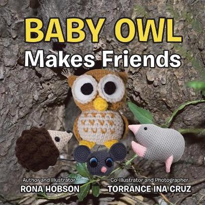 Book cover for Baby Owl Makes Friends