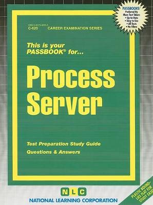 Book cover for Process Server