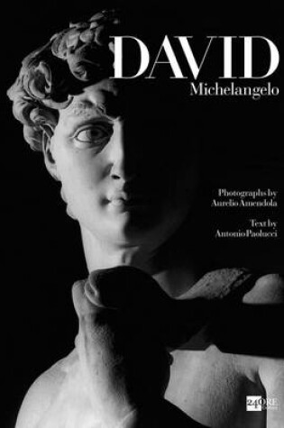 Cover of David: Michelangelo