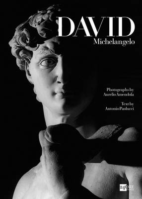 Book cover for David: Michelangelo