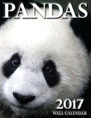 Book cover for Pandas 2017 Wall Calendar