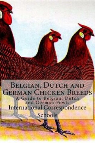 Cover of Belgian, Dutch and German Chicken Breeds