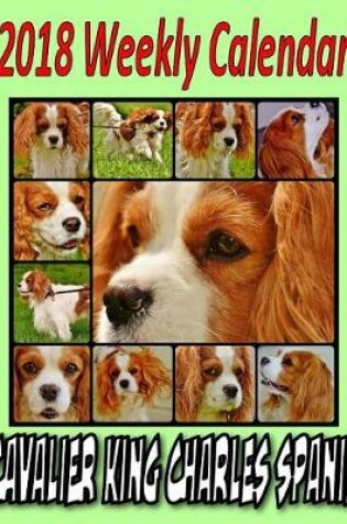 Cover of 2018 Weekly Calendar Cavalier King Charles Spaniel