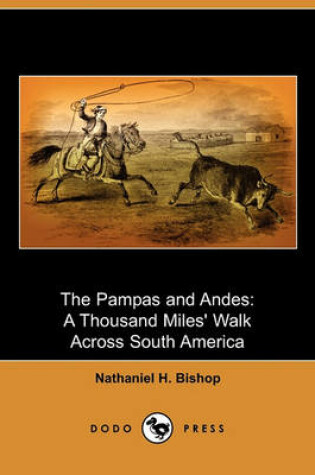 Cover of The Pampas and Andes