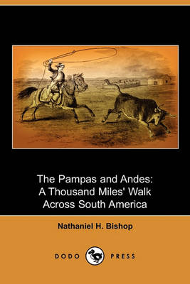 Book cover for The Pampas and Andes