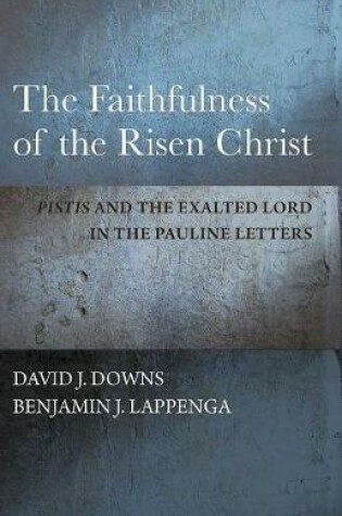 Cover of The Faithfulness of the Risen Christ