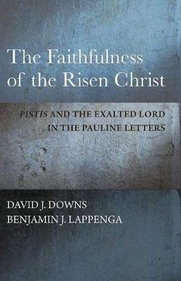 Book cover for The Faithfulness of the Risen Christ