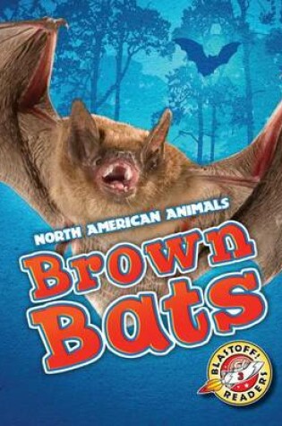 Cover of Brown Bats