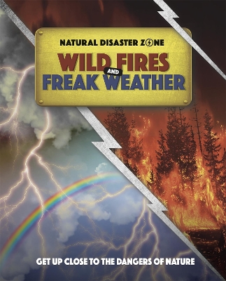 Book cover for Natural Disaster Zone: Wildfires and Freak Weather