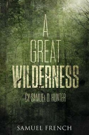 Cover of A Great Wilderness