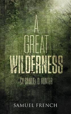 Book cover for A Great Wilderness