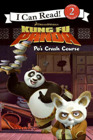 Cover of Kung Fu Panda