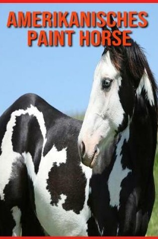 Cover of Amerikanisches Paint Horse