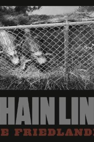 Cover of Lee Friedlander: Chain Link