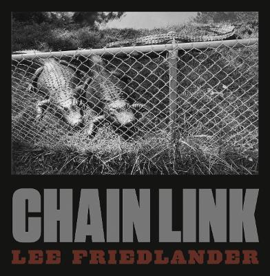 Book cover for Lee Friedlander: Chain Link