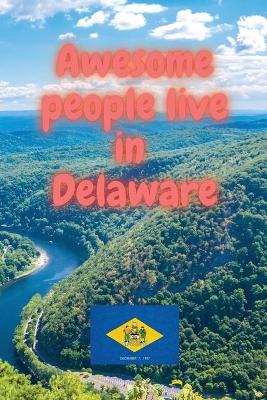 Book cover for Awesome people live in Delaware