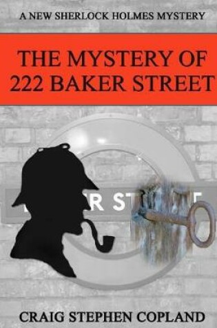 Cover of The Mystery of 222 Baker St. LARGE PRINT