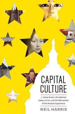 Book cover for Capital Culture