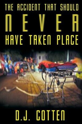 Cover of The Accident that Should Never Have Taken Place