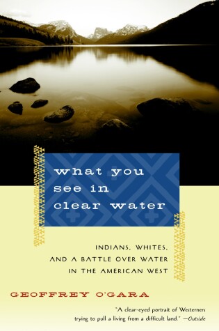 Cover of What You See in Clear Water