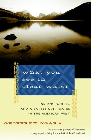 Cover of What You See in Clear Water