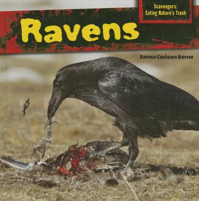 Book cover for Ravens