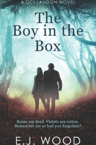 Cover of The Boy in the Box