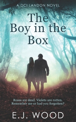 Book cover for The Boy in the Box