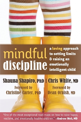 Book cover for Mindful Discipline