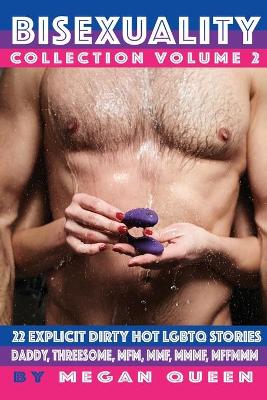 Book cover for Bisexuality - Collection - Volume 2
