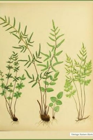 Cover of Vintage Nature Sketch Book