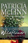 Book cover for Wyoming Wildflowers
