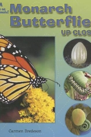 Cover of Monarch Butterflies Up Close