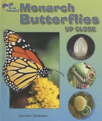 Book cover for Monarch Butterflies Up Close