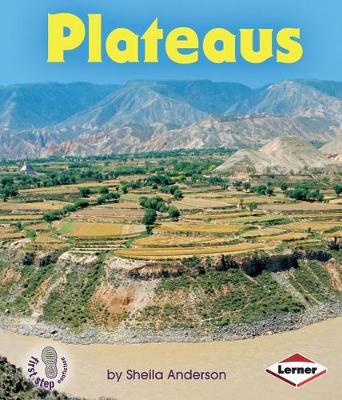 Book cover for Plateaus