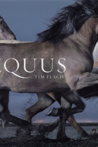 Cover of Equus