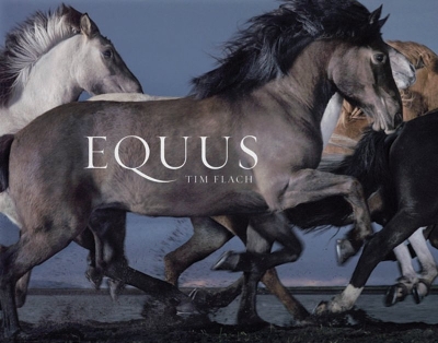 Book cover for Equus