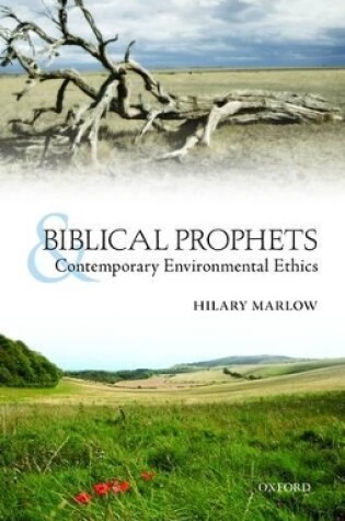 Cover of Biblical Prophets and Contemporary Environmental Ethics