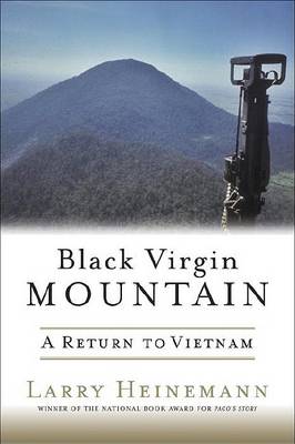 Book cover for Black Virgin Mountain