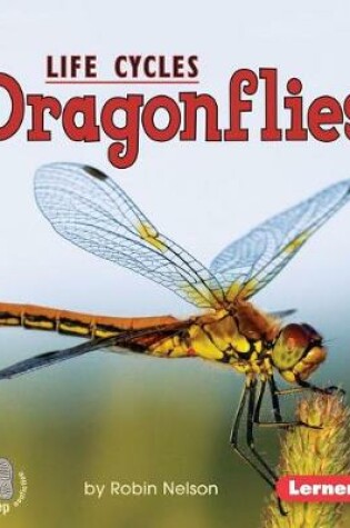 Cover of Dragonflies