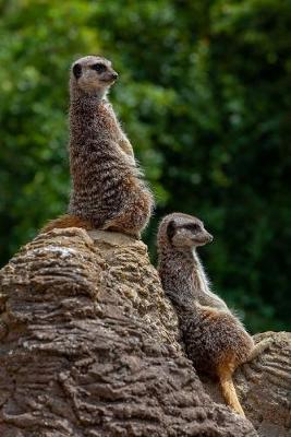 Book cover for Two Meerkats Chillaxing Journal