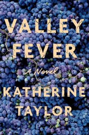 Cover of Valley Fever