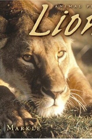 Cover of Lions