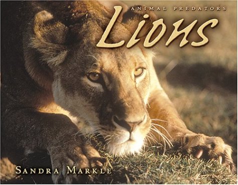 Book cover for Lions