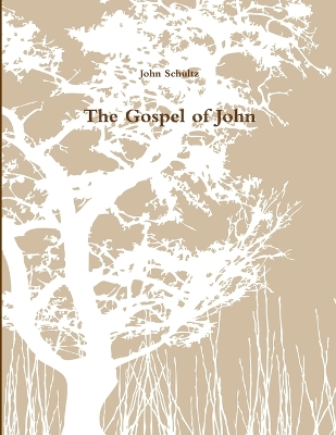 Book cover for The Gospel of John