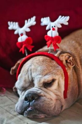 Cover of Snoozing English Bulldog Wearing a Festive Reindeer Headband Holiday Journal