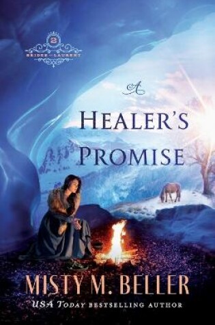 Cover of A Healer`s Promise