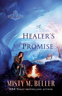 Book cover for A Healer`s Promise